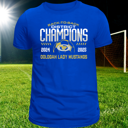 Girls soccer district champs tee