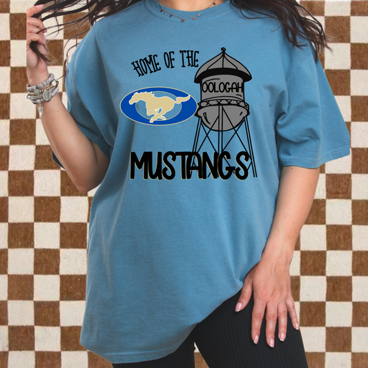 Home of the Mustangs