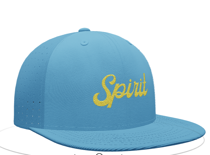 Spirit Fitted Hat